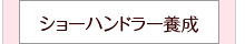 シューハンドラー養成
