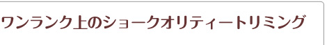 ワンランク上のショークオリティートリミング