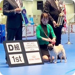 ドッグハンドラー